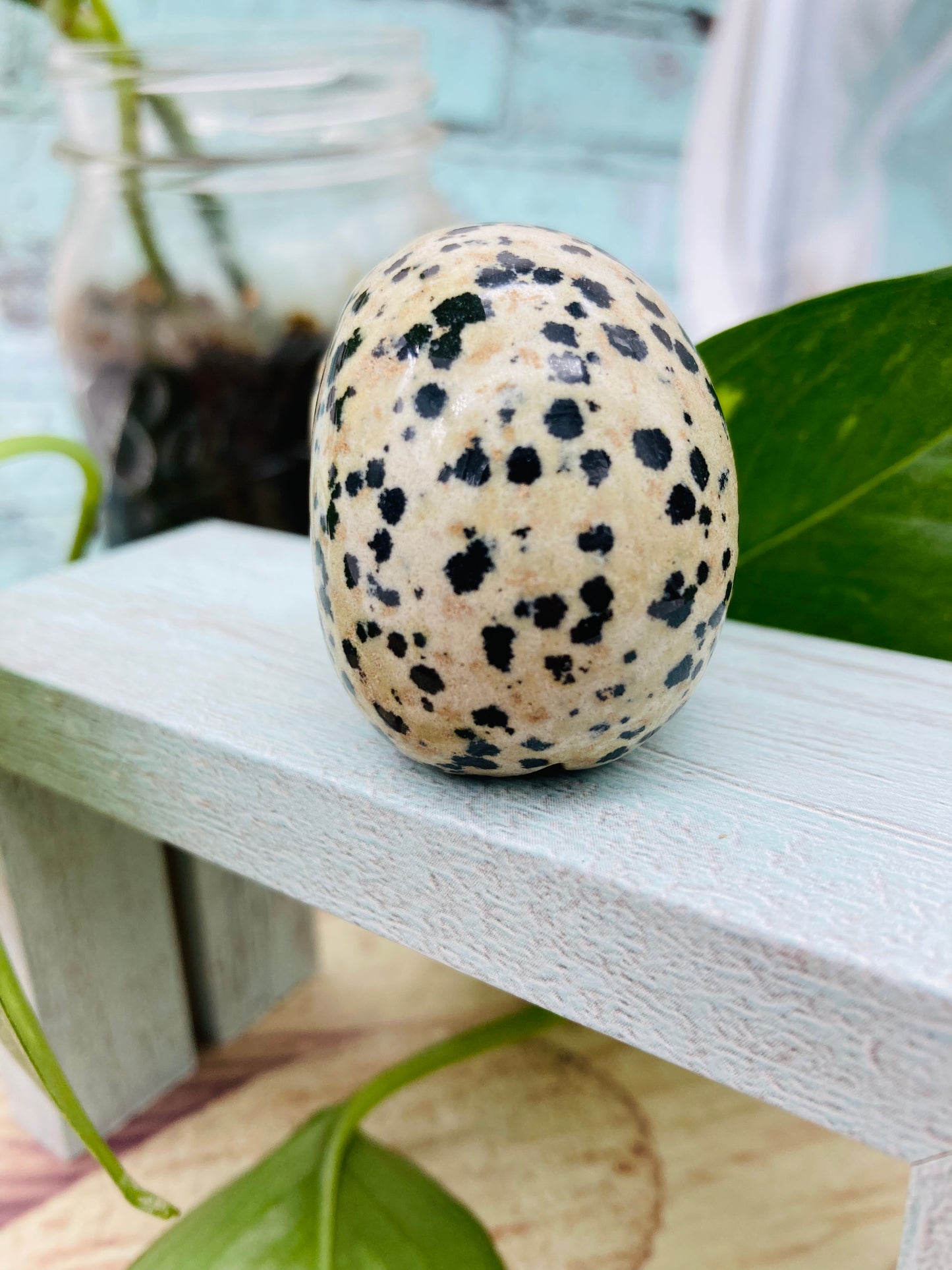 Dalmatian Jasper Skull