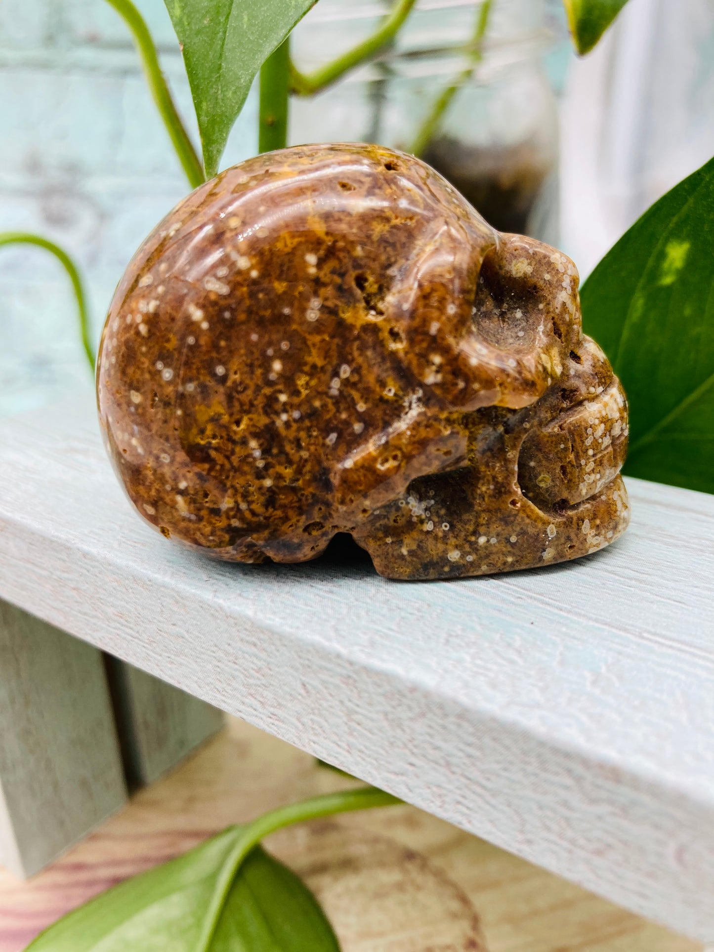 Ocean Jasper Skull 2