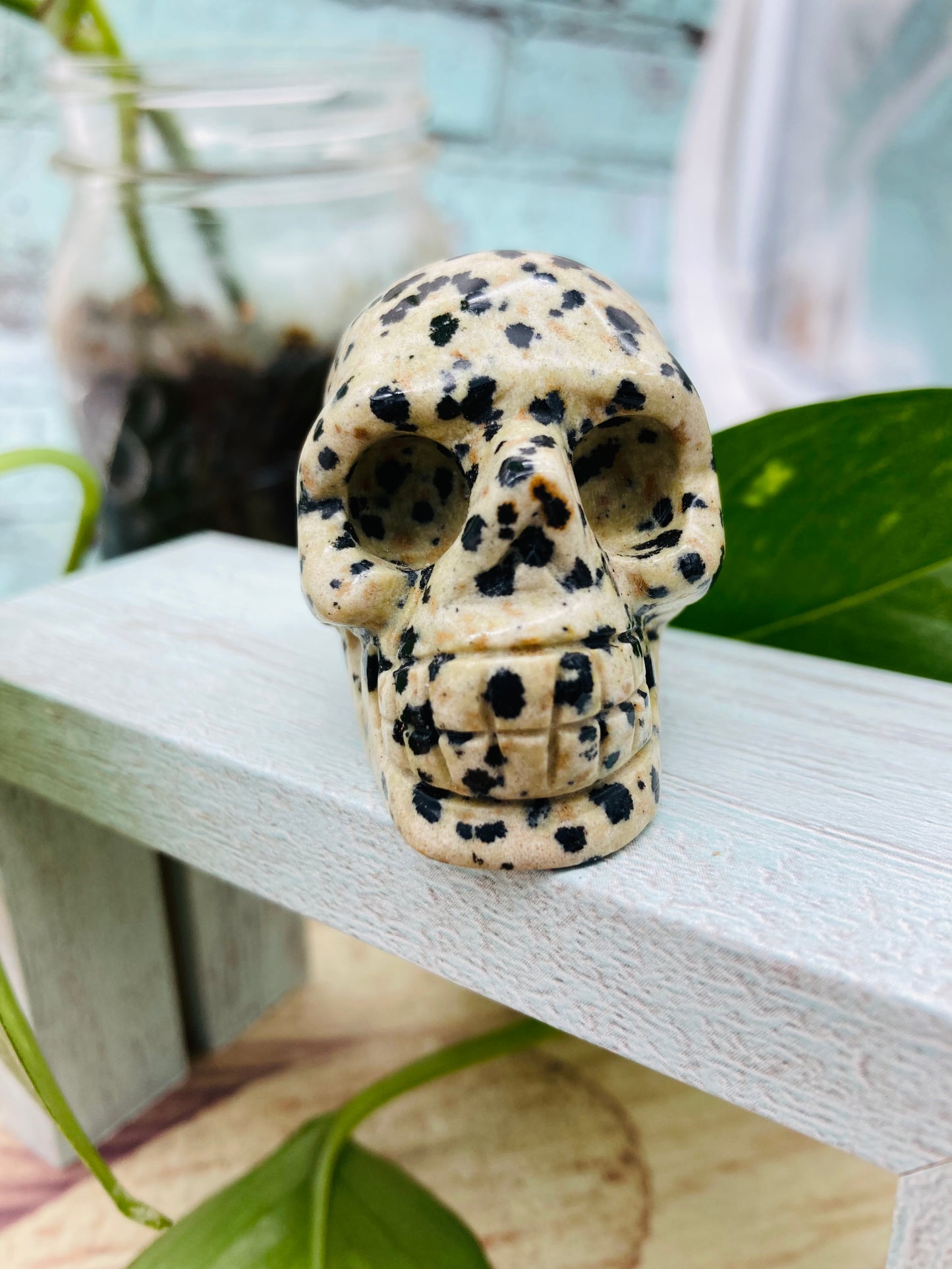 Dalmatian Jasper Skull