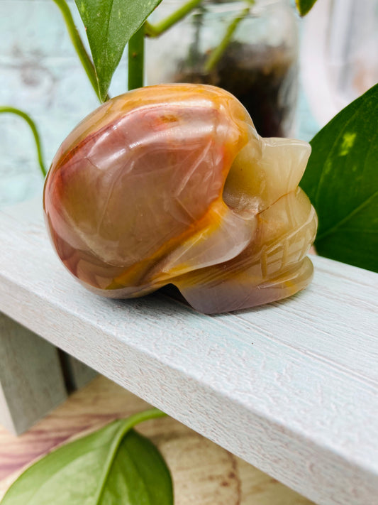 Carnelian  Skull 2