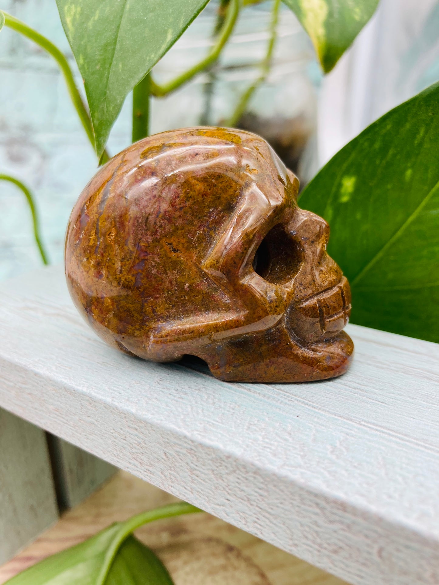 Ocean Jasper Skull 3