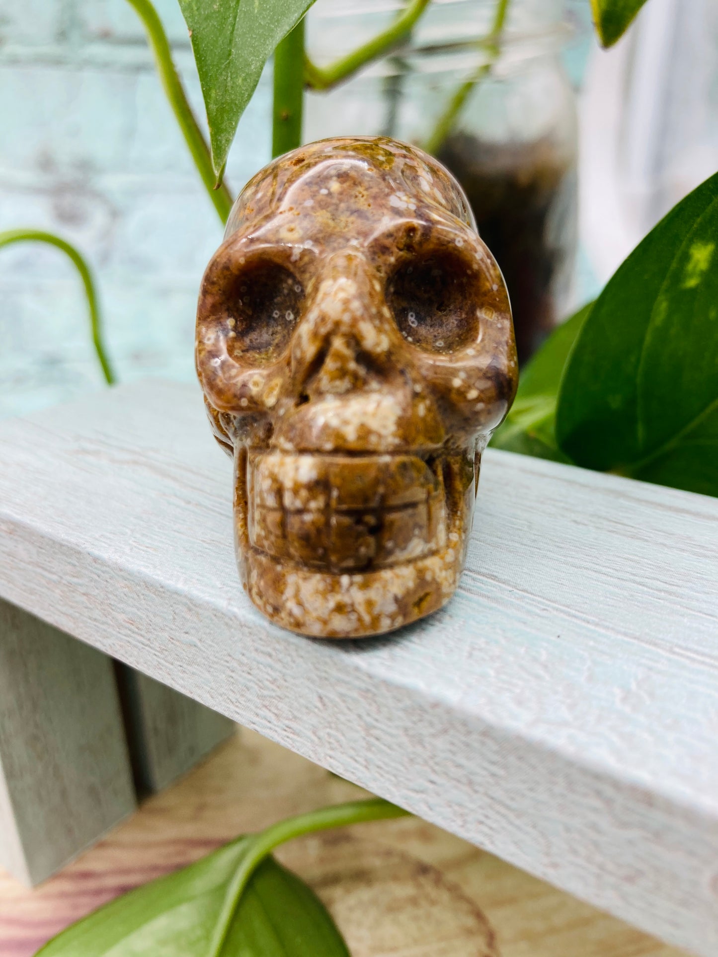 Ocean Jasper Skull 2