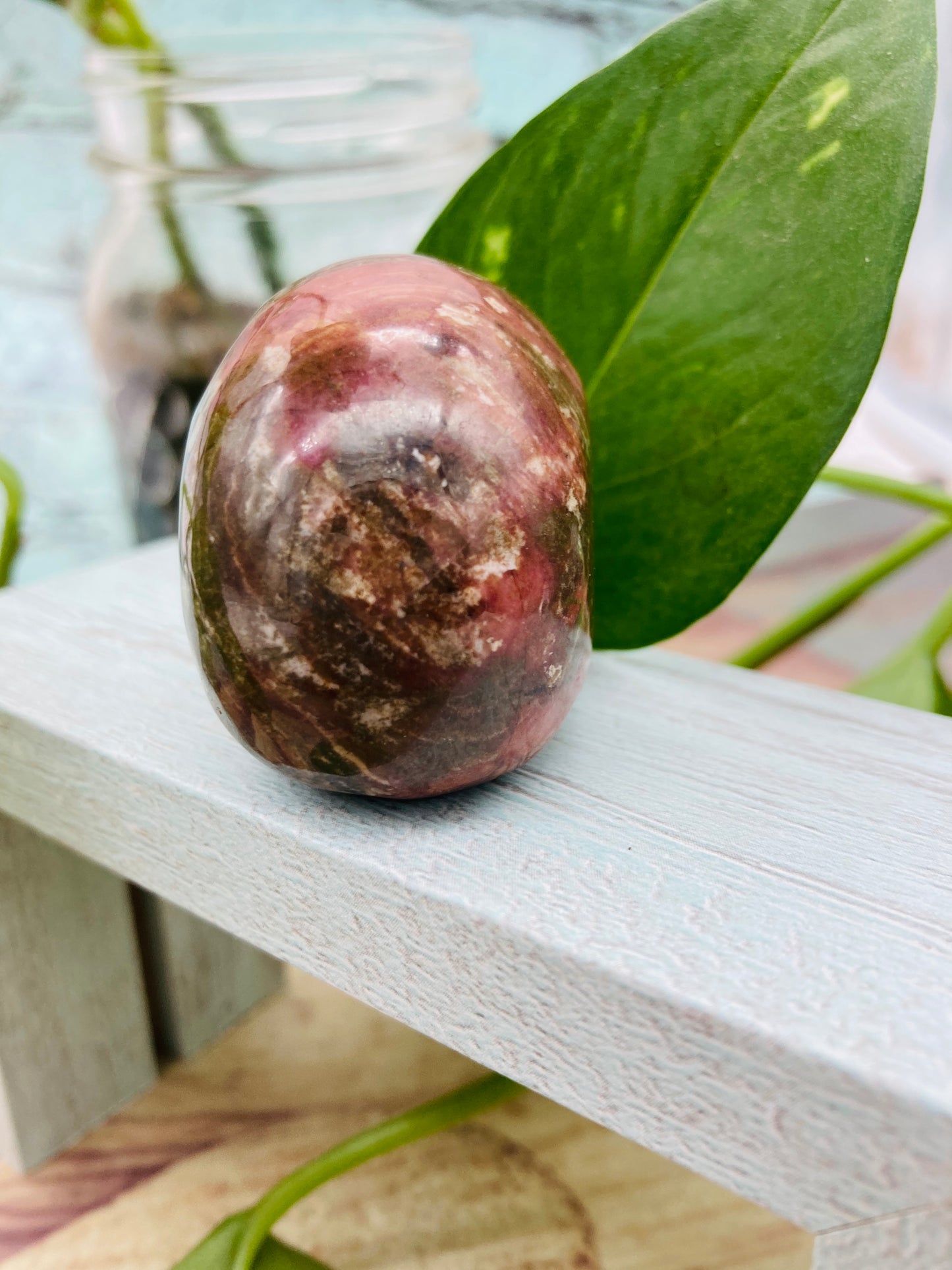Petrified Wood Skull