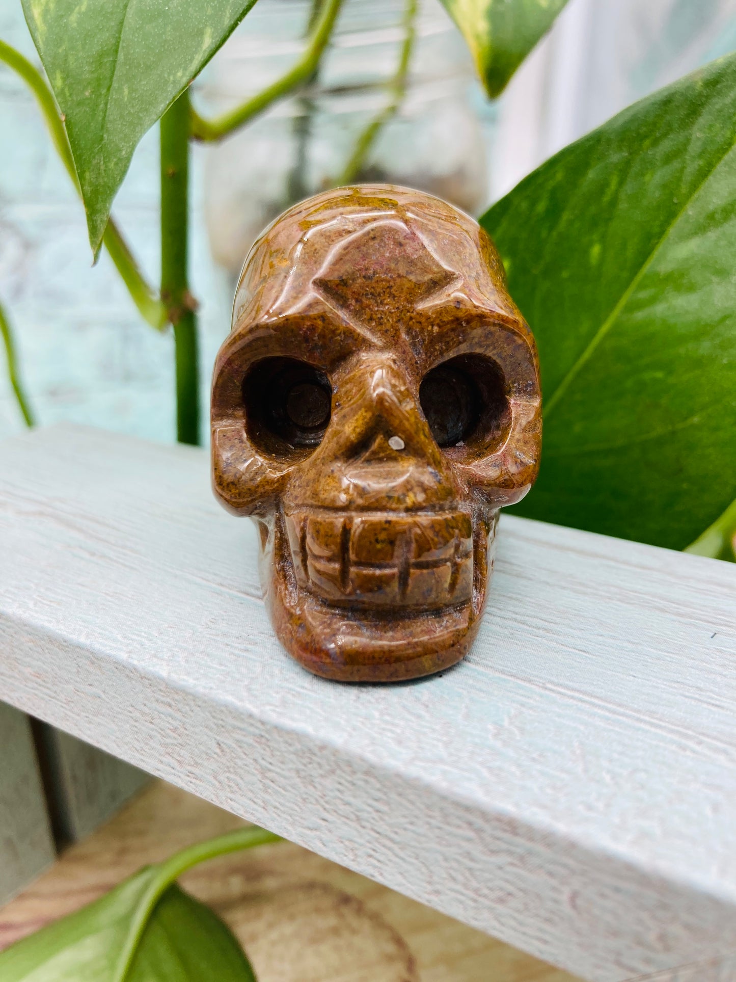 Ocean Jasper Skull 3