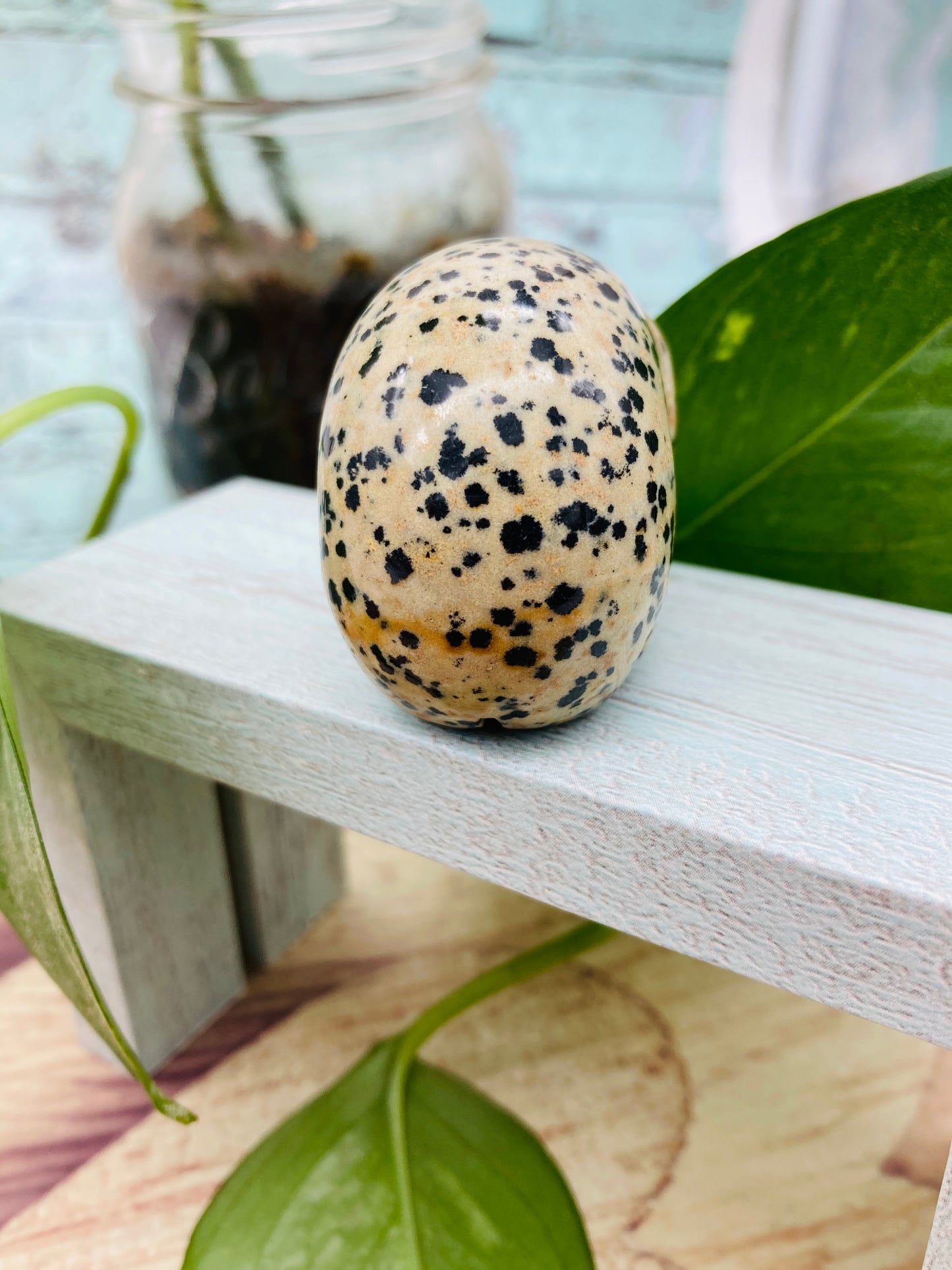Dalmatian Jasper Skull