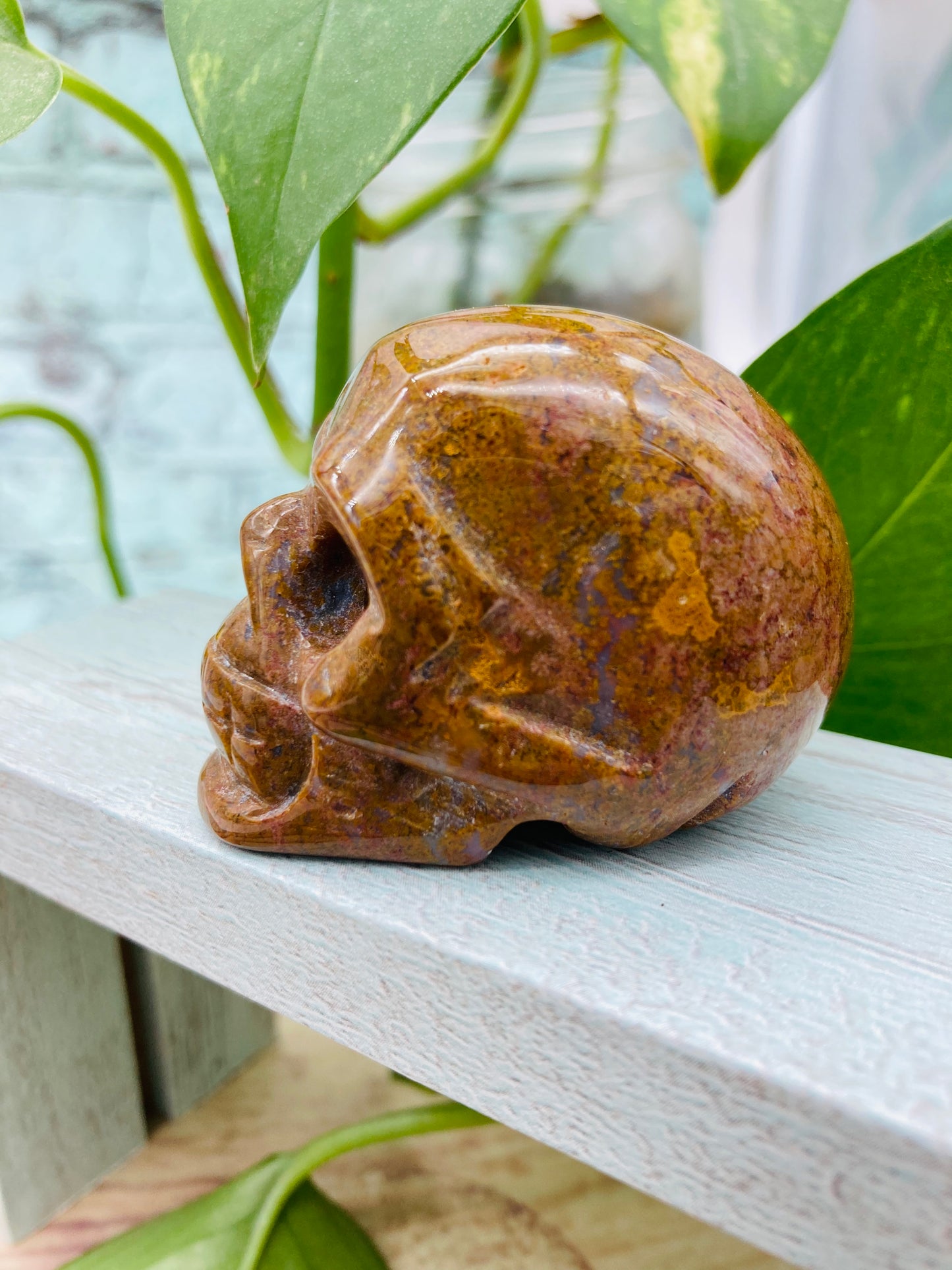 Ocean Jasper Skull 3