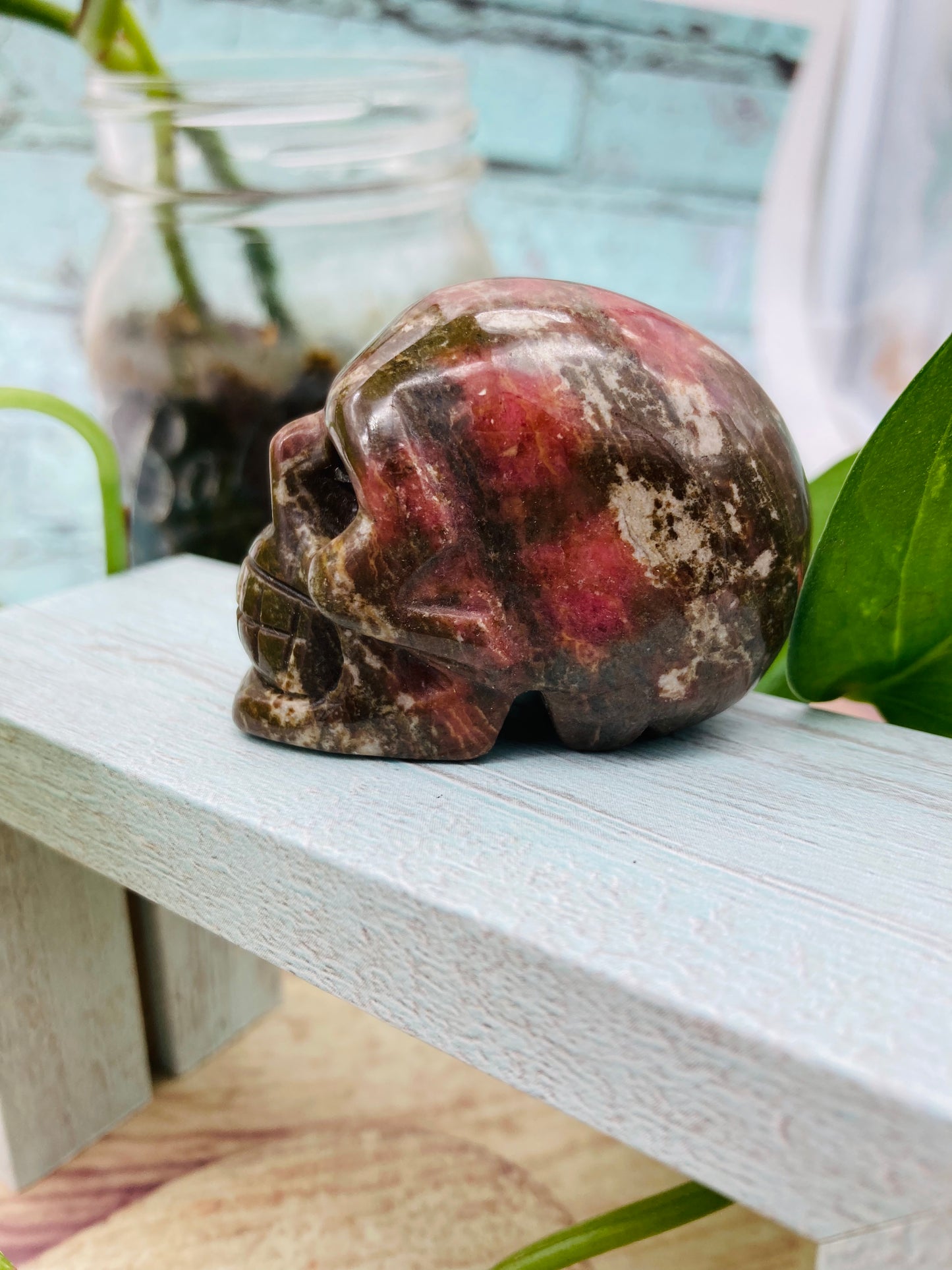 Petrified Wood Skull