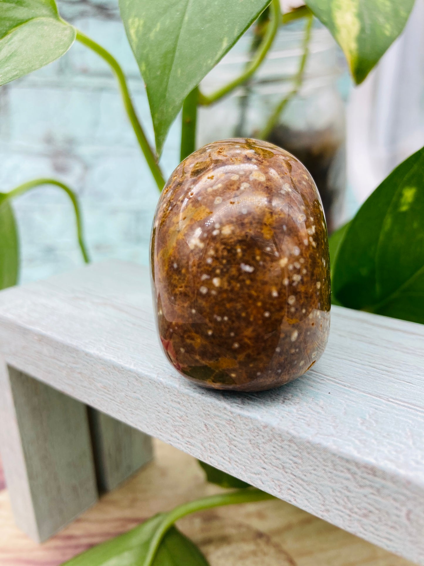 Ocean Jasper Skull 2