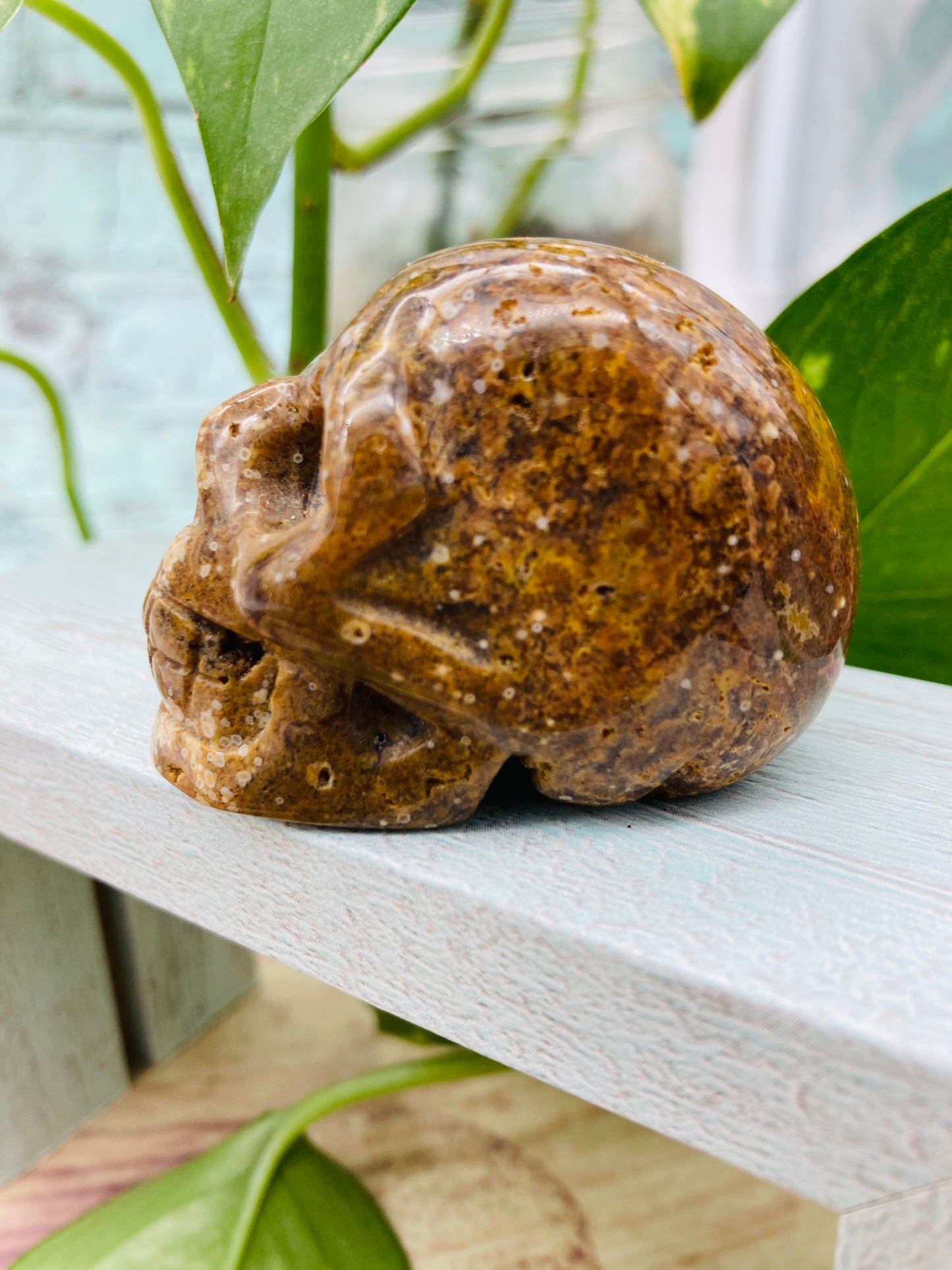 Ocean Jasper Skull 2