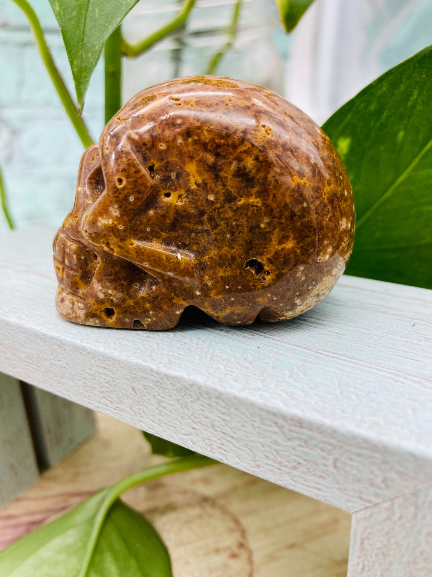 Ocean Jasper Skull