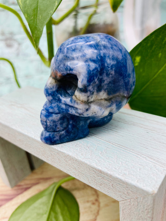 Sodalite Alien Skull