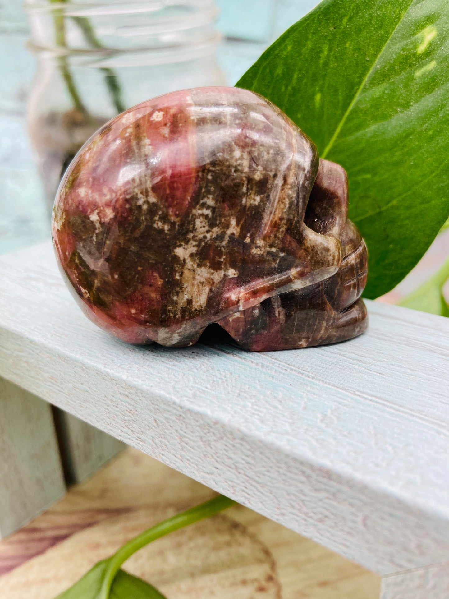Petrified Wood Skull