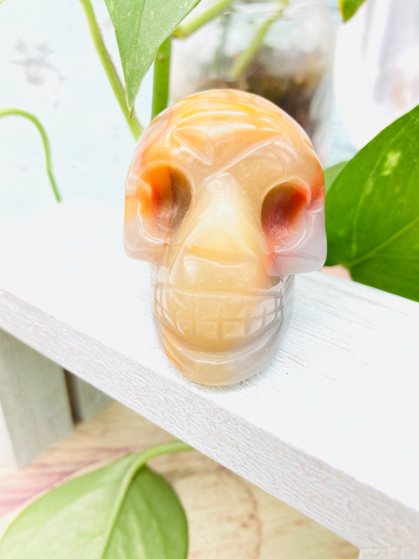 Carnelian  Skull 2
