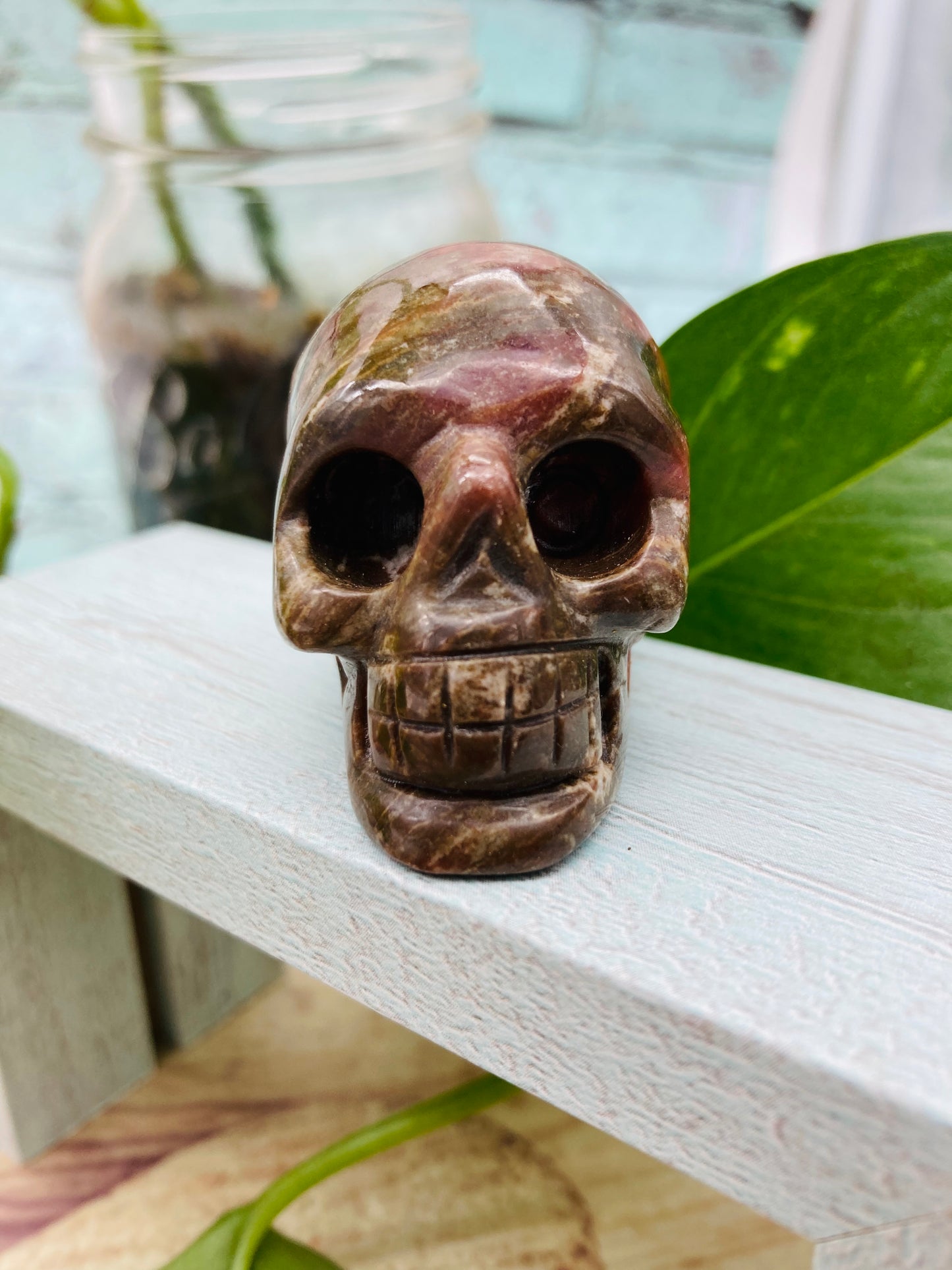 Petrified Wood Skull