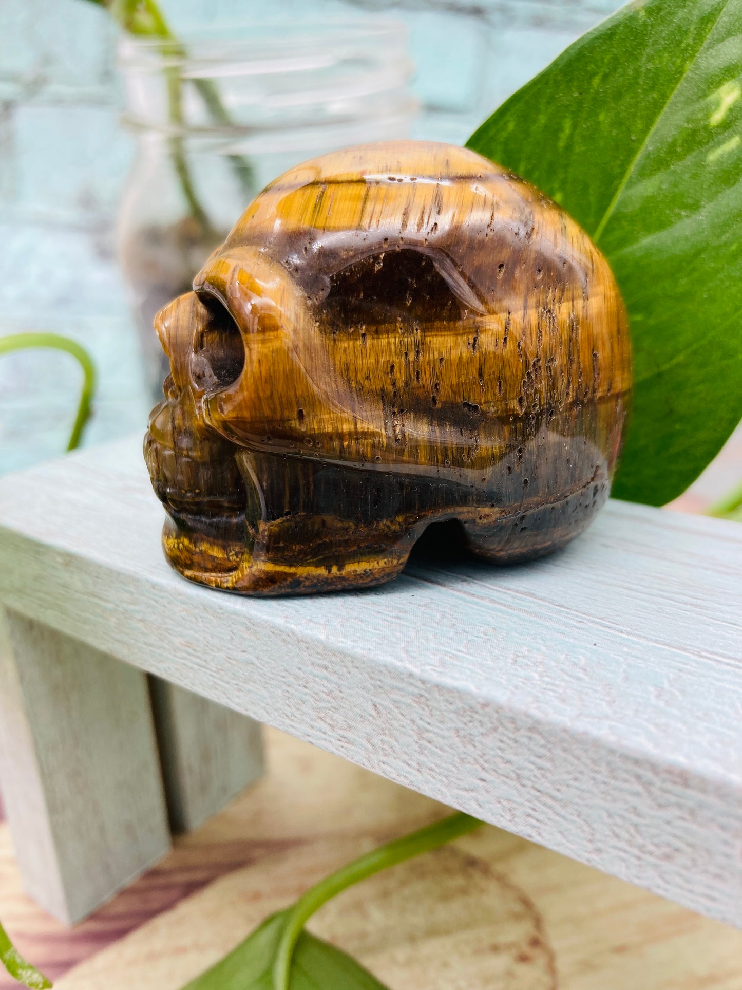 Tigers Eye Skull