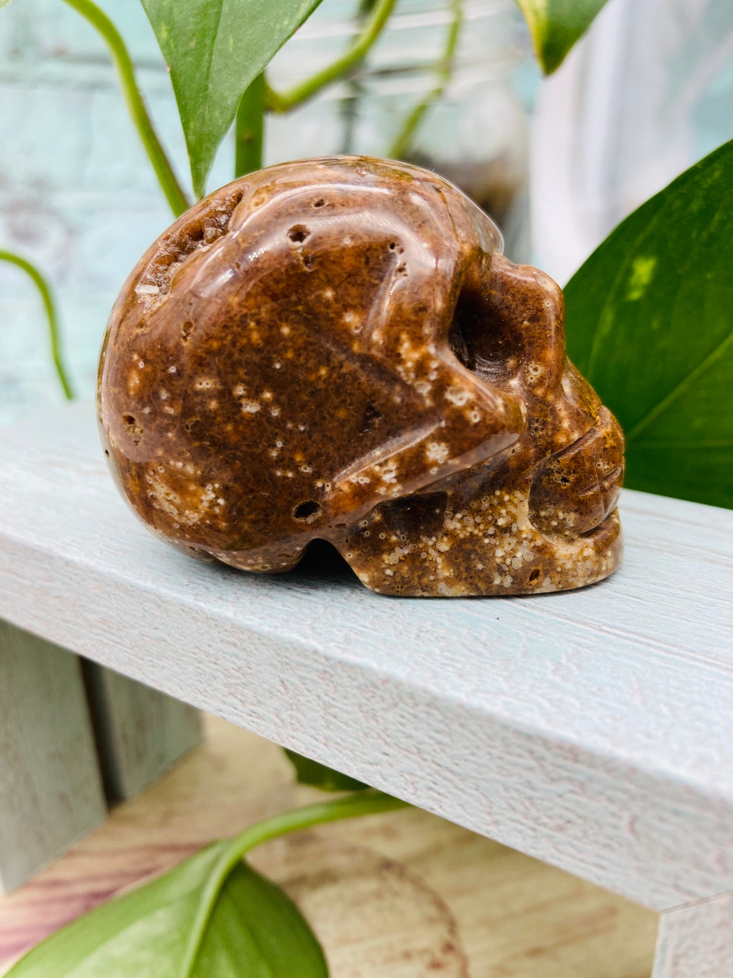 Ocean Jasper Skull